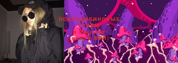 трава Надым