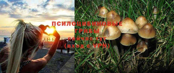 ГАЛЛЮЦИНОГЕННЫЕ ГРИБЫ Наволоки