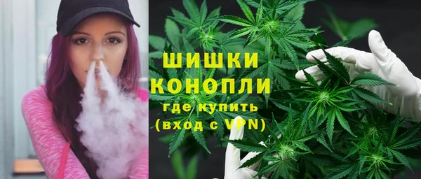ГАЛЛЮЦИНОГЕННЫЕ ГРИБЫ Наволоки