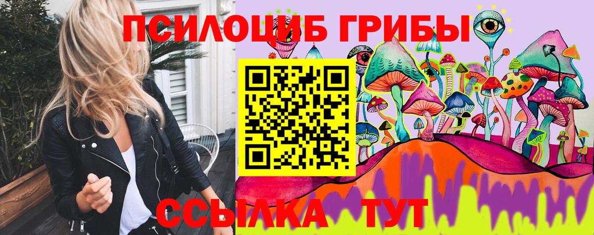 Псилоцибиновые грибы Cubensis  Вход с VPN  Ялта 