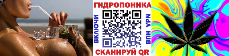 Бошки Шишки MAZAR  Ялта 